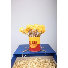 DEKOMUS ORJİNAL LİSANSLI  2'Lİ GALATASARAY ÖZEL TASARIM FORMA SİLGİLİ KURŞUN KALEM