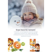 Erbatab Labex Kids Çinko Kekik Beta Glukan Karamürver Çocuk Multivitamin Şurup 150 ML