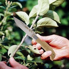 Badem10 Aşı Bıçağı Yatağan Profesyonel Çelik Düz Uçlu Bağ Ağaç Budama Aşı Çakısı 20 mm Ahşap Saplı Bıçak Çakı