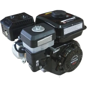 Dts Power Dts 200-6,5 Hp Ipli Kamalı Benzinli Motor