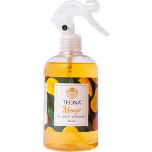 Mango Oda Spreyi 500ML