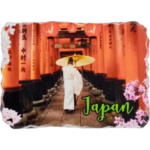Dünyadan Hediyeler Japonya Temalı Kırık Magnet