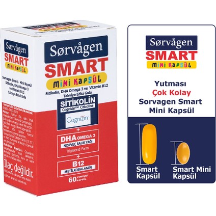 Smart Mini Kapsül Sitikolin, Dha Omega 3 ve B12 - 60 Kapsül