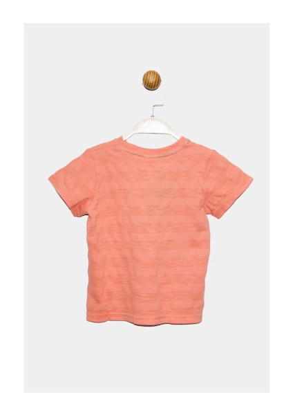 Lisanslı Erkek Çocuk Tshirt 21354 fiyatları