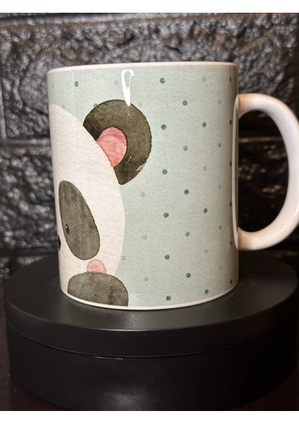 Panda Kupa modelleri