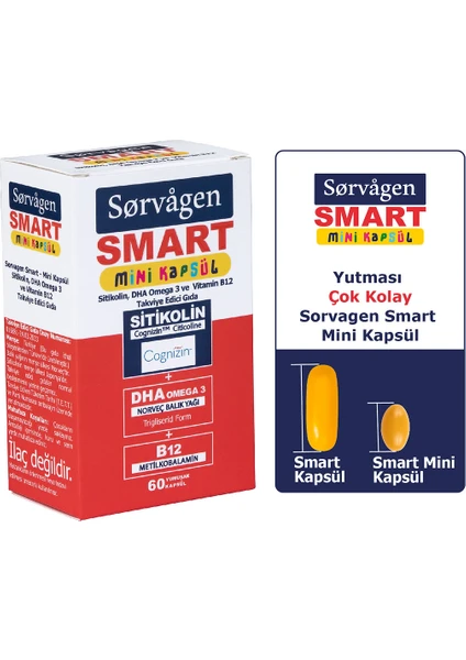 Smart Mini Kapsül Sitikolin, Dha Omega 3 ve B12 - 60 Kapsül