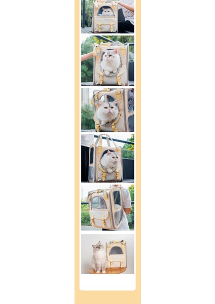Kedi Taşıma Çantası (Yurt Dışından) modelleri