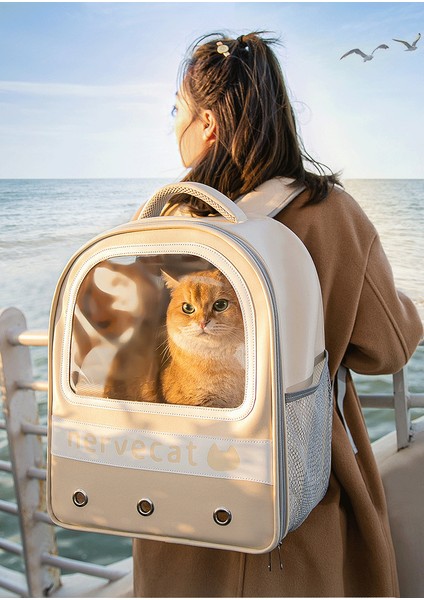 Kedi Taşıma Çantası (Yurt Dışından)