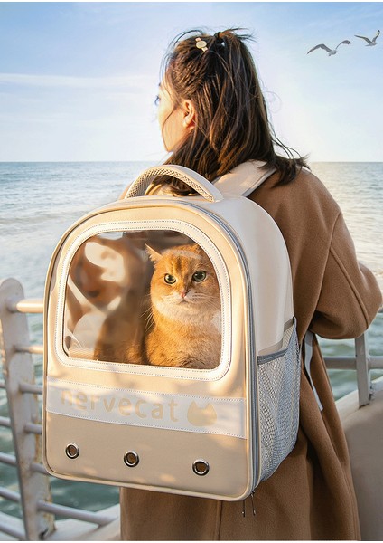 Kedi Taşıma Çantası (Yurt Dışından) modelleri