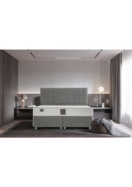 Platinium Ergonomik Yaylı Yatak 100X200