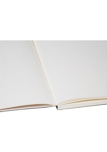 Tomoe River Kağıdından Dolma Kalem Uyumlu Defter Aster fırsatları