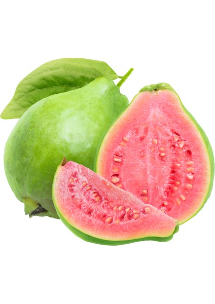 Guava Ağacı