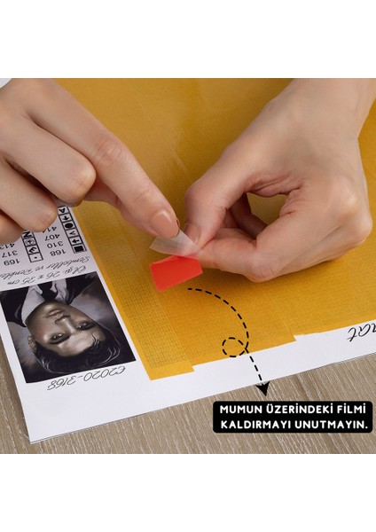 Kurt Postu Giyen Kuzu | Elmas Mozaik Tablo | Mozaik Puzzle | 50x50 | E20204214 fiyatları