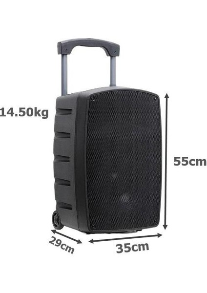 Goldaudio PA2312-EE Portatif Taşınabilir Ses Sistemi 300WATT 2xel Telsiz Mikrofonlu fiyatları