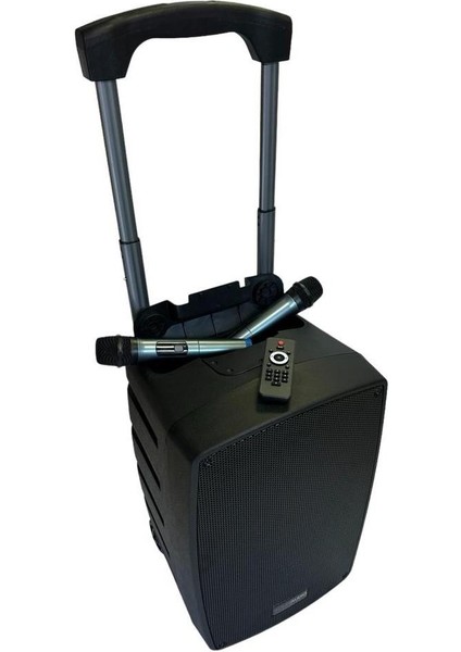 Goldaudio PA2312-EE Portatif Taşınabilir Ses Sistemi 300WATT 2xel Telsiz Mikrofonlu indirimleri