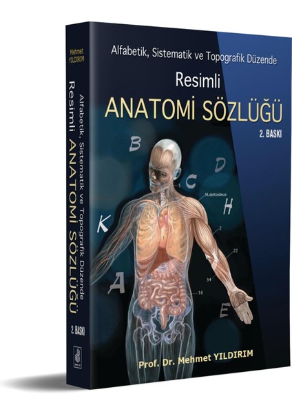 Resimli Anatomi Sözlüğü modelleri
