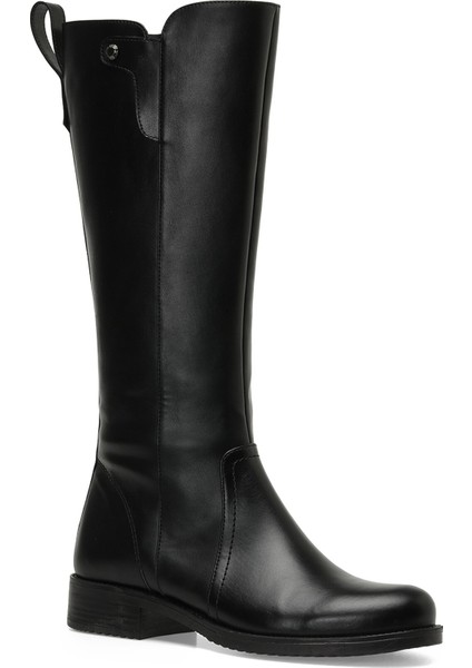 Pısa 3pr Siyah Kadın Çizme fiyatları