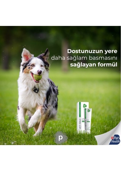 Vet Prive Vetprive Liver Paste Kedi ve Köpekler Için Karaciğer Desteği Pasta 100G