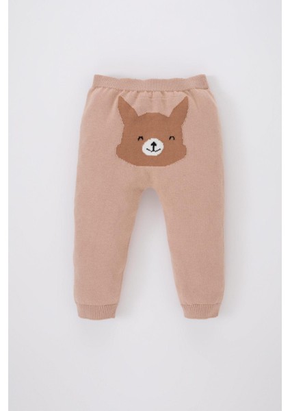 Kız Bebek Tilki Desenli Kazak Alt Pamuklu Triko 2'li Takım fırsatları