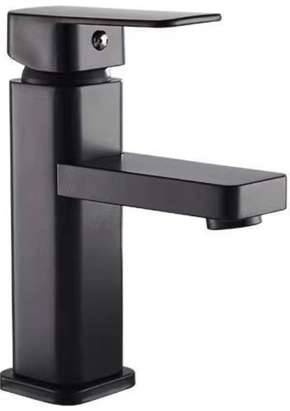 Paslanmaz Çelik Banyo Lavabo Musluğu (Yurt Dışından)