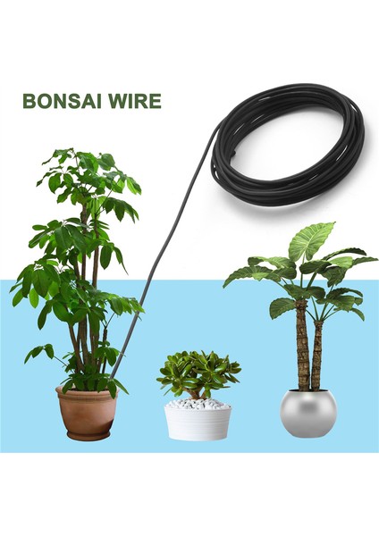 10 Rulo Bonsai Teli 5 Boyutta Eloksallı Alüminyum Bonsai Eğitim Teli - 1,0 Mm, 1,5 Mm, 2,0 Mm, 2,5 Mm, 3,0 mm Siyah (Yurt Dışından)