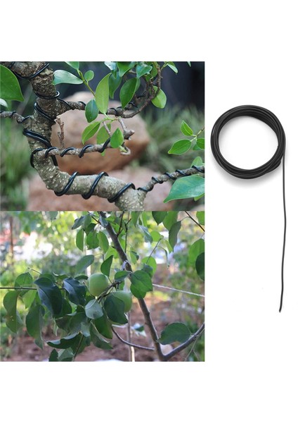 10 Rulo Bonsai Teli 5 Boyutta Eloksallı Alüminyum Bonsai Eğitim Teli - 1,0 Mm, 1,5 Mm, 2,0 Mm, 2,5 Mm, 3,0 mm Siyah (Yurt Dışından)