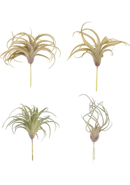 Paket Yapay Ananas Çim Hava Bitkileri Sahte Çiçekler Sahte Akın Tillandsia Bromeliads Ev Bahçe Dekoru (Yurt Dışından)