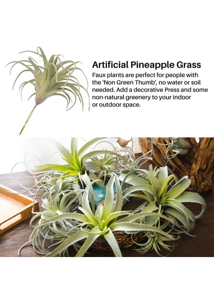 Paket Yapay Ananas Çim Hava Bitkileri Sahte Çiçekler Sahte Akın Tillandsia Bromeliads Ev Bahçe Dekoru (Yurt Dışından)