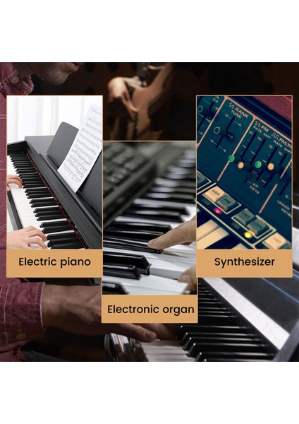 Yükseltme Sürdürülebilir Damper Pedalı Piyano Klavye Yamaha Roland Için Elektrikli Piyano Elektronik Klavye Elektronik Piyano Pedalı (Yurt Dışından)