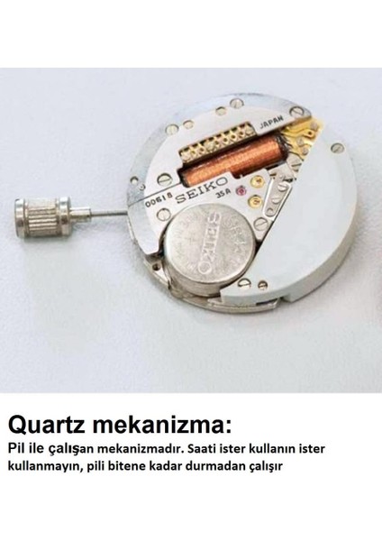 IML721.390 Kadın Kol Saati