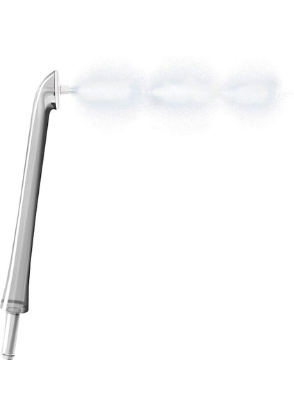 2 Adet Philips Için Uygun Diş Temizleme Diş Temizleme Memesi HX8032 HX8341 8381 8331 8332 Oral Sulama Nozulları (Yurt Dışından)