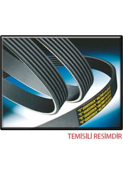 Kanallı Kayış Ford Transit 300-330-350 2.4tdcı 06 350-430-460 2.4tdcı 3.2tdcı 06