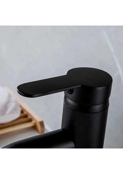 Bradoo-Siyah Paslanmaz Çelik Musluk Tek Kolu Banyo Lavabo Musluğu Sıcak ve Soğuk Paslanmaz Çelik Yüksek Kaliteli Tek Musluk (Yurt Dışından)