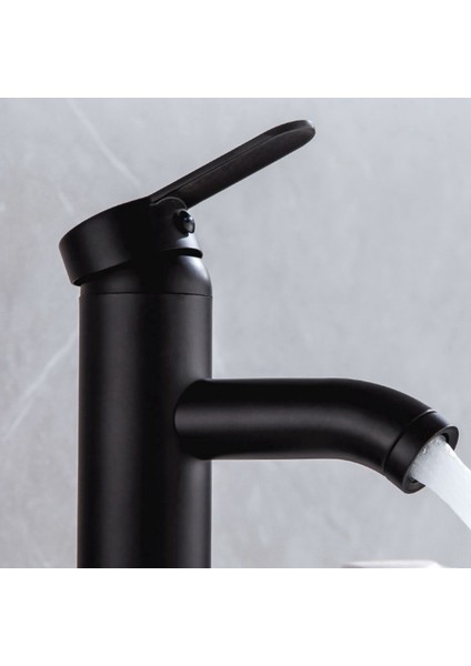 Bradoo-Siyah Paslanmaz Çelik Musluk Tek Kolu Banyo Lavabo Musluğu Sıcak ve Soğuk Paslanmaz Çelik Yüksek Kaliteli Tek Musluk (Yurt Dışından)