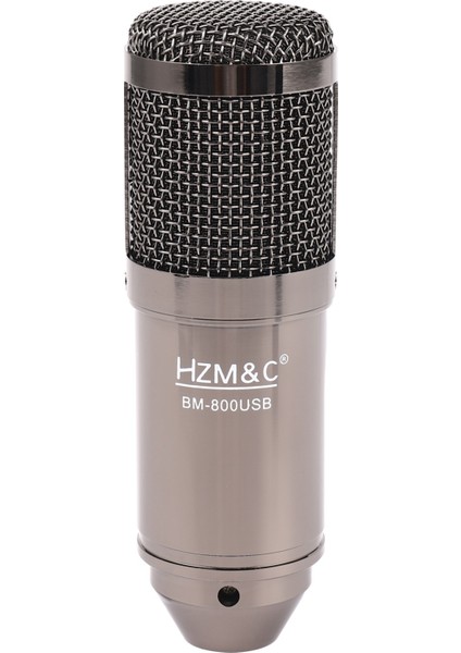 Hzm&c Bilgisayar Kayıtlı Karaoke Pc Için Yükseltilmiş Bm 800 USB (Siyah) (Yurt Dışından)