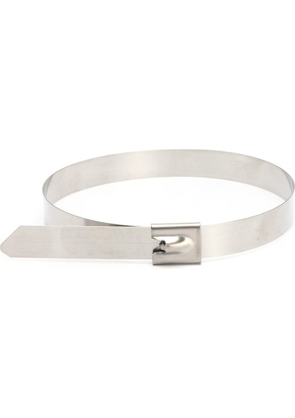 20 Adet 0.39 Inç x 15.75 Inç Paslanmaz Çelik Metal Kablo Zip Kravat Sarma Egzoz Askıları (Yurt Dışından) fırsatları