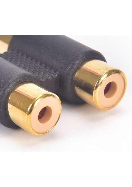 Çift 2 x Rca Fono Bağlayıcı Dişi - Dişi Ses Video Konektörü Adaptörü Altın (Yurt Dışından)