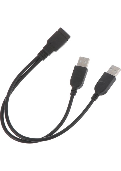 USB 2.0 Dişi USB 2 Erkek Kablo USB Çift Ayırıcı Güç Uzatma Kablosu (Yurt Dışından)