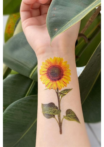 Geçici Ay Çiçeği Mini Dövme Tattoo