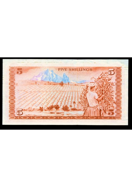 Kenya 5 Shillingi 1978 Çil Banknot