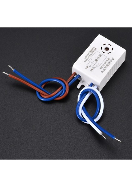 Otomatik Ses Işık Sensörü Anahtarı 220 V 38X27X16MM Açık Kapalı Koridor Merdiven Sokak Işık Anahtarı Fotoğraf Kontrolü Ses Ses Sens (Yurt Dışından) fiyatları