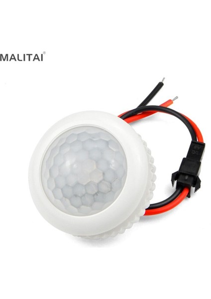 Dıy Akıllı LED Tavan Ampul Anahtarı Pır Sensörü 220 V Hareket Sensörü Lamba Anahtarı Ir Kızılötesi Indüksiyon Sensörü Anahtarı (Yurt Dışından)