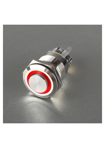 Aydınlatmak 22MM Yüksek Basmalı Düğme Anahtarı Anlık Kendinden Kilitlemeli Düğme Anahtarı Metal Su Geçirmez Basmalı Anahtar Halkalı LED (Yurt Dışından)