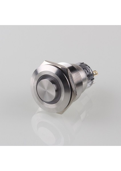 Aydınlatmak 22MM Yüksek Basmalı Düğme Anahtarı Anlık Kendinden Kilitlemeli Düğme Anahtarı Metal Su Geçirmez Basmalı Anahtar Halkalı LED (Yurt Dışından) fırsatları