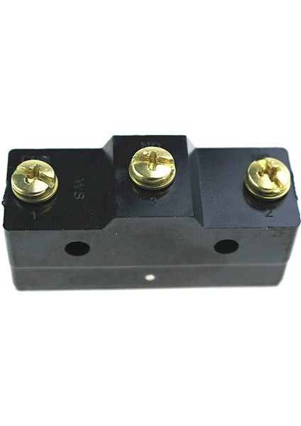 Limit Anahtarı LXW5-11D1 Kısa Yaylı Piston Vidalı Terminal 15A (Yurt Dışından) fırsatları