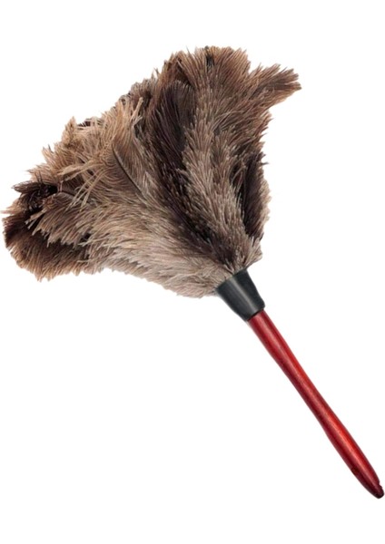 Devekuşu Temizleme Tüyü Silgi Devekuşu Silgi Devekuşu Tüyü Silgi Yumuşak Tüyler Silgi Mobilyadan Fan Kanatlarına (Yurt Dışından) fiyatları