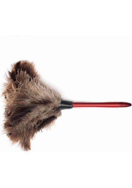 Devekuşu Temizleme Tüyü Silgi Devekuşu Silgi Devekuşu Tüyü Silgi Yumuşak Tüyler Silgi Mobilyadan Fan Kanatlarına (Yurt Dışından) modelleri