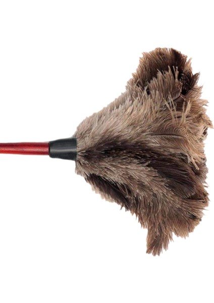 Devekuşu Temizleme Tüyü Silgi Devekuşu Silgi Devekuşu Tüyü Silgi Yumuşak Tüyler Silgi Mobilyadan Fan Kanatlarına (Yurt Dışından) indirimleri