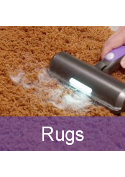 Evcil Hayvan Tüy Çıkarıcı, 3,0 Stabil Lint Rulo Fırça, Kanepeler, Yataklar Ve Arabalar Için Evcil Hayvan Tüy Çıkarıcı, Kedi/Köpek Tüy Çıkarıcı (Yurt Dışından) modelleri