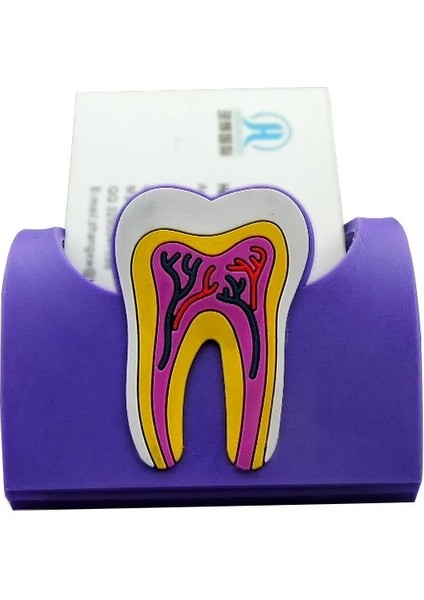 Adet Diş Kliniği Diş Kartı Ekran Standı Diş Kart Tutucu Renkli Kauçuk Diş Molar Şekli Telefon Kartı Adı Depolama (Yurt Dışından) fiyatları